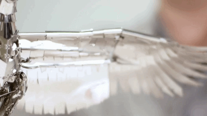 UNITY WINGS SILVER ARMOR